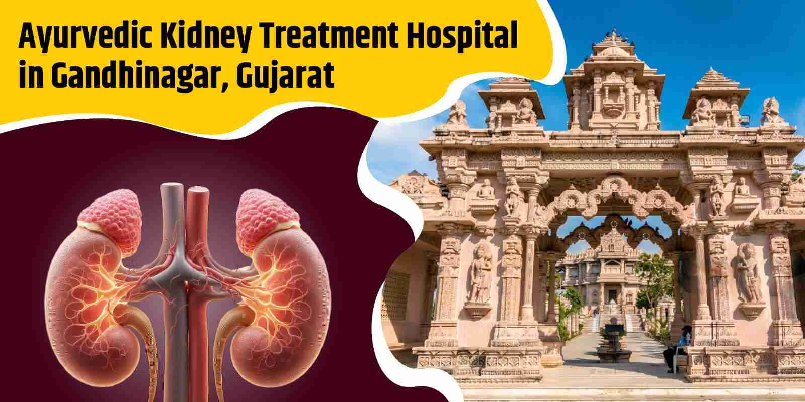 Ayurvedic Kidney Treatment Hospital in Gandhinagar, Gujarat